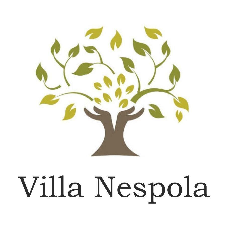 Villa Nespola Cavtat Exteriér fotografie